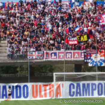 Lega Pro, il Campobasso ha depositato il ricorso al Collegio di Garanzia del Coni - Il Quotidiano del Molse