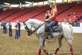 Organizers cancel Arabian horse show - The Brandon Sun