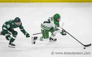 CATCHING UP WITH: Gaber attending Bruins development camp - The Brandon Sun