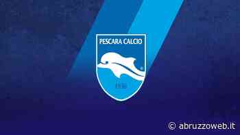 PESCARA CALCIO: TIFOSI INFURIATI, ABBONAMENTI TROPPO CARI. CAOS SOCIETA': NUOVI SOCI DOPO ESTATE - Abruzzoweb.it