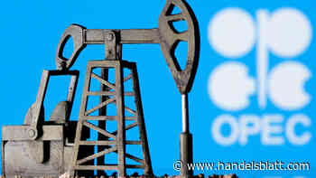 Rohstoffbedarf: Erster Opec-Ausblick 2023: Ölbedarf wird weiter steigen