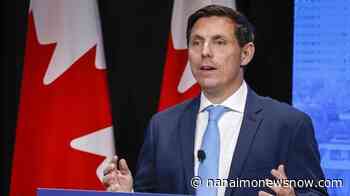 Leadership committee chair scrutinized Patrick Brown's past during vetting: source - Nanaimo News NOW