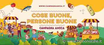 Trecate: sabato 18 giugno appuntamento con l'Agrimercato - Ticino Notizie L'informazione diversa - Ticino Notizie