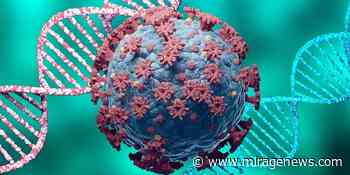 Statement on twelfth meeting of International Health Regulations Emergency Committee regarding coronavirus disease pandemic - Mirage News