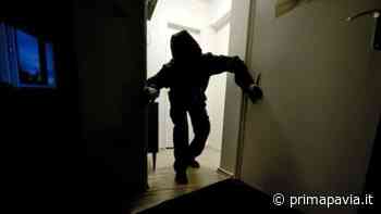 Furti in casa a Vigevano, trovato il responsabile: è un 23enne di origine nord-africana - Prima Pavia