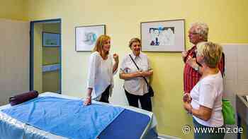 Ausstellung im Ärztehaus Zeitz: Teilnehmer der Kunstkurse der Volkshochschule Burgenlandkreis senden Gruß aus Goslar nach Zeitz - Mitteldeutsche Zeitung