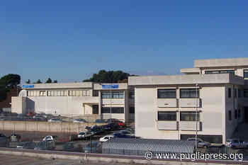 L'ESTATE 2022 DEL DA VINCI - Puglia Press