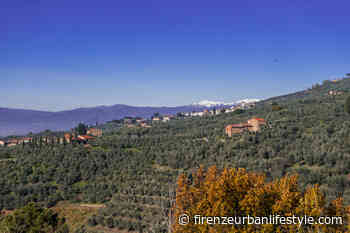 Vinci, geniali colline - FUL magazine - FUL - Firenze Urban Lifestyle
