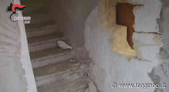 I Carabinieri arrestano presunto componente della “banda del buco” - LeggiNoci.it