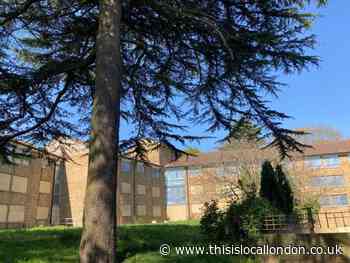 Battle lost to save Lewisham beauty spot as High Court backs Council's tower block plan