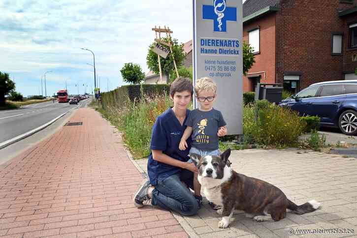 Dierenarts Hanne stelt uitbreiding praktijk al drie jaar uit door onzekerheid over Ventilus: “De overheid gijzelt ons”