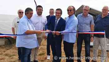 Frontignan : inauguration de la ferme photovoltaïque - Hérault Tribune - Hérault Tribune