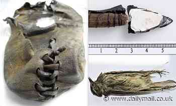 Trove of artifacts, including Bronze Age shoe, 6,000-year-old arrow shaft, revealed in Norway