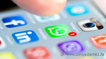 Gefährliche WhatsApp-Versionen locken mit neuen Funktionen - COMPUTER BILD
