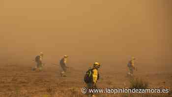 Un agente medioambiental de Zamora sufre un golpe de calor en un incendio en Salamanca - La Opinión de Zamora