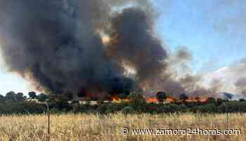 Extinguidos los incendios que pusieron en jaque a Zamora este lunes - Zamora24horas.com
