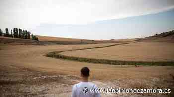 Zamora se ve afectada por el clima más seco en 1.200 años, según un estudio - La Opinión de Zamora