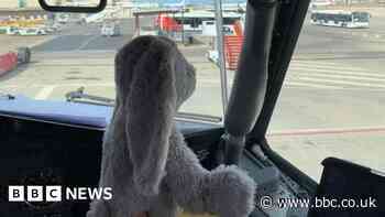 Lost in Palma: Airline reunites Wakefield boy with soft toy - bbc.co.uk