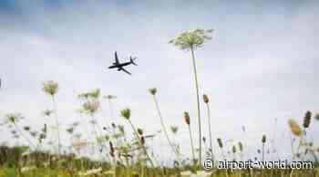 UK aviation needs significant and sustained investment to meet net zero 2050 goal - Airport World Online