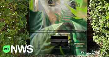 Tour Elentrik nieuw straatkunstproject in Rotselaar - VRT NWS