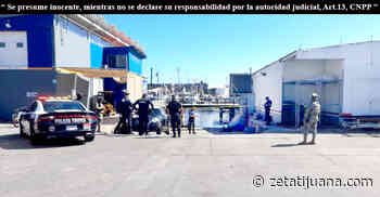 Ensenada: Multihomicidios entre el CDS - ZETA - Zeta