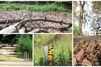 Münster leidet zunehmend unter der Trockenheit