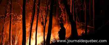 Violente reprise des feux de forêt dans le centre du Portugal