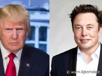 Musk: "Trump è troppo vecchio, attacchi il cappello al chiodo"
