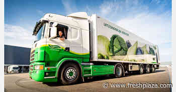 Bundling logistics activities leads to improved efficiency - FreshPlaza.com