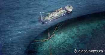 New Brunswick Mi’kmaw chiefs join court challenge to N.L.’s Bay du Nord oil project