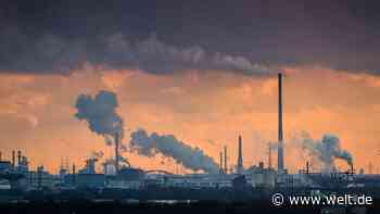 Energiekrise: Wirtschaft fürchtet Betriebsschließungen und fordert Gas-Rettungsschirm - WELT - WELT