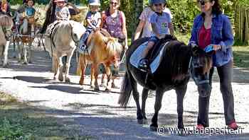 Caussade. Un été à cheval ou à poney - LaDepeche.fr