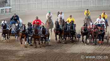 In 1st event after 6 horses died, Stampede chuckwagons return with new safety measures