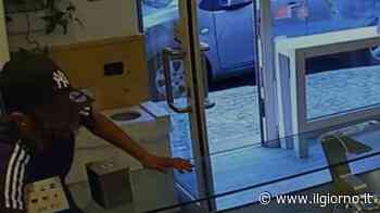 Legnano, apre la cassa e ruba 50 euro in gelateria: ladro incastrato dalle telecamere - IL GIORNO