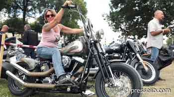 PASSIONS – Gros cubes et grands artistes à Dax - Presselib