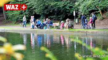 Sorgen um den Hammerteich in Witten nehmen weiter zu - WAZ News