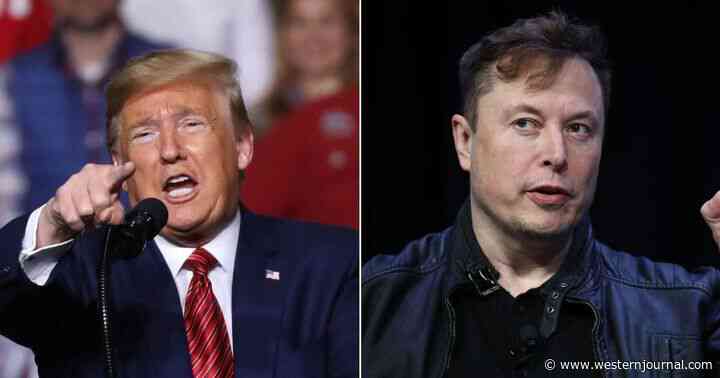 Trump Reveals His True View of 'B******* Artist' Elon Musk as Twitter Deal Falls Apart