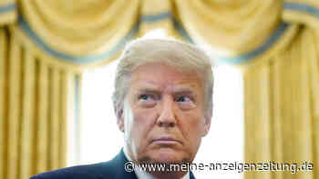 Ausschuss zum Kapitol-Sturm: Donald Trump forderte den Bürgerkrieg