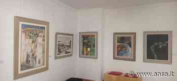 A Matera gli inediti degli anni Settanta di Guerricchio - Agenzia ANSA