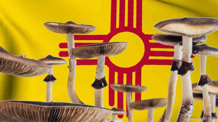 Could New Mexico benefit from legalized 'shroom therapy?