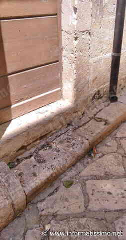 Putignano - Nuove segnalazioni dal centro storico su sporcizia e degrado - Putignano Informatissimo