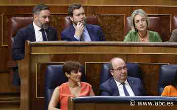 Vox ve «muy poco creíble» el discurso de Sánchez y llama a acabar con su «macabro proyecto» - ABC.es