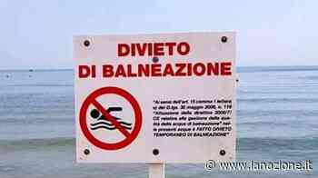Marina di Pisa, divieto di balneazione per la microalga davanti a via Crosio - LA NAZIONE