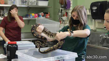 Petaluma Wildlife Museum inspires next generation of conservationists