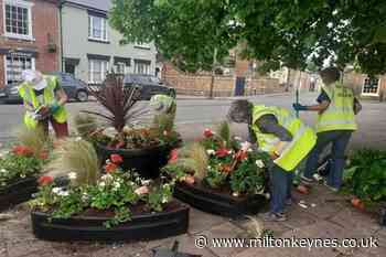 Flower-loving town in Milton Keynes prepares for Britain in Bloom contest - Milton Keynes Citizen