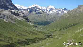Die Alpen ergrünen – und das ist gar nicht gut - br.de