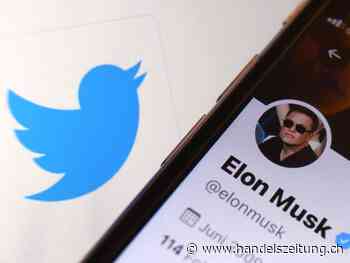 Twitter verklagt Elon Musk wegen Vertragsbruchs