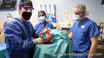 Latest Pig-to-Human Heart Transplant: Back to the Drawing Board?