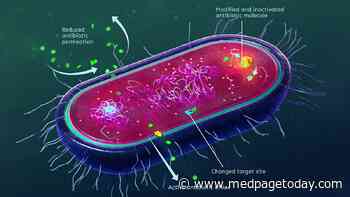 CDC: Pandemic Spurred Deadly Antimicrobial-Resistant Infections