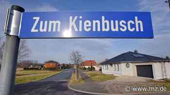 Bauland hoch im Kurs: Wohnen am Rand der Heide: Erste Grundstücke in Burgkemnitz verkauft - Mitteldeutsche Zeitung